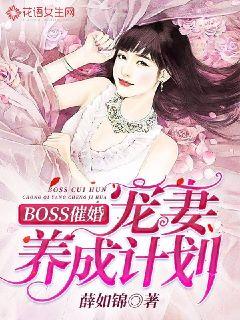 BOSS߻飺ɼƻ