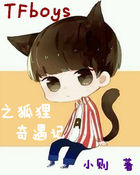 TFboys֮
